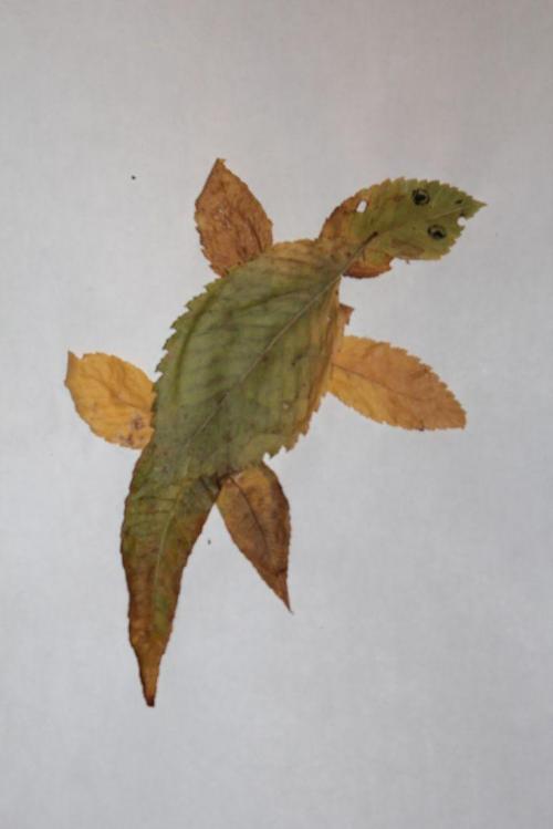 Примеры осеннего декора в доме. Предлагаю культивировать любовь к осени с помощью сезонного декора интерьера и по-настоящему наслаждаться этой порой 16 Примеры осеннего декора в доме. Предлагаю культивировать любовь к осени с помощью сезонного декора интерьера и по-настоящему наслаждаться этой порой 16