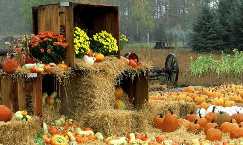 Осенний декор двора. Осеннее оформление сада и дома