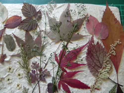 Украшение из осенних листьев. Поделки из листьев на тему осени: 70 идей