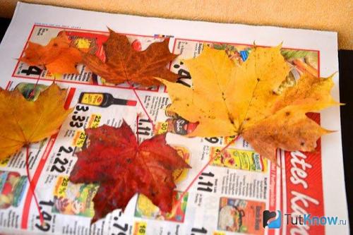 Как преобразить дом к осени. Осень дома: Как добавить уюта в интерьер И проводить время в квартире с удовольствием 03