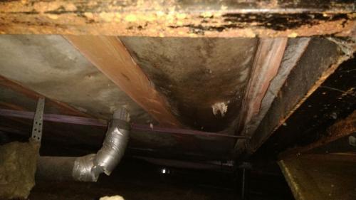 Можно ли использовать в качестве утеплителя под досками на балконе пенопласт. Утеплитель пенопласт влаге выхода не даст! Или почему экструдированный полистирол нельзя использовать для утепления деревянных домов 1