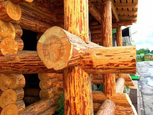 Из чего строить деревянный дом. Правильный выбор материала для возведения деревянного дома