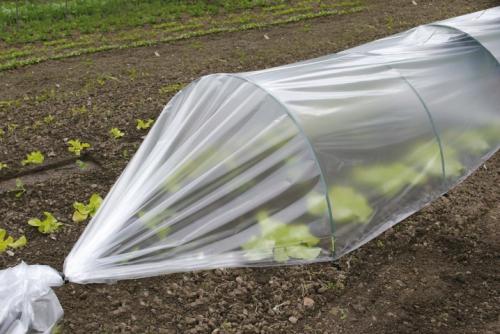 Особенности использования укрывной пленки. Виды 01 Особенности использования укрывной пленки. Виды 01