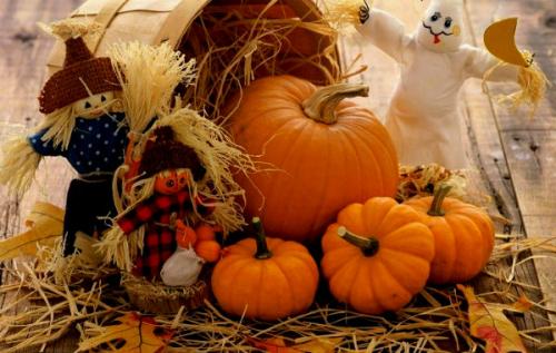 Как можно использовать осенние фрукты и орехи для создания декора в квартире. Украшаем дом осенними дарами