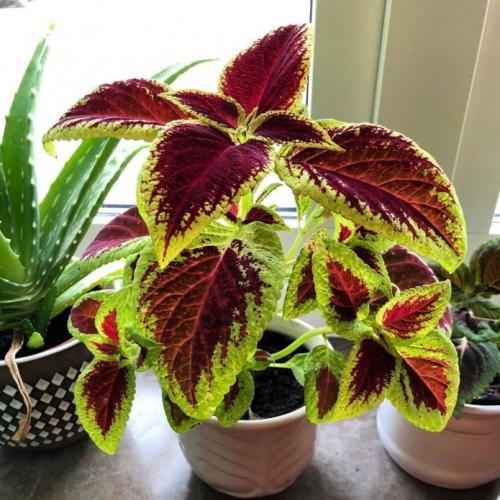 Удивительные идеи декора для гостиной: 40 способов сделать вашу комнату более привлекательной 10