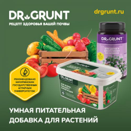 Что можно посадить в сентябре-октябре. Топ-10 вариантов, что можно и нужно посадить в сентябре 2022 года в огороде