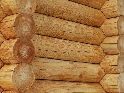 Как правильно построить дом из оцилиндрованного бревна. Выбор древесины и проектировка 05 Как правильно построить дом из оцилиндрованного бревна. Выбор древесины и проектировка 05