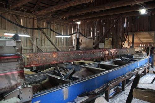 Как правильно построить дом из оцилиндрованного бревна. Выбор древесины и проектировка 01 Как правильно построить дом из оцилиндрованного бревна. Выбор древесины и проектировка 01