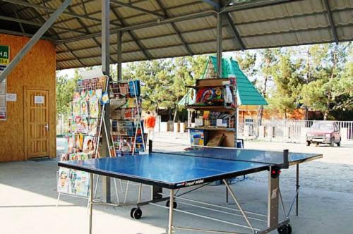 Какие размеры столов из меламина самые популярные. Конструкция теннисного стола: виды столешниц, каркас и дополнительные аксессуары