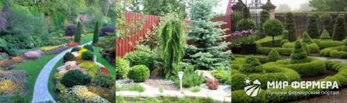 Какие деревья и кустарники сажают осенью на даче в саду. Какие деревья и кустарники лучше сажать осенью и почему? 07