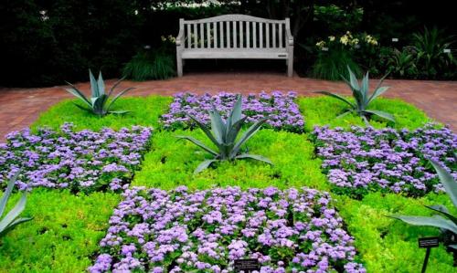 Лучшие многолетники для осеннего сада. Какие многолетние цветы сажают осенью 11 Лучшие многолетники для осеннего сада. Какие многолетние цветы сажают осенью 11