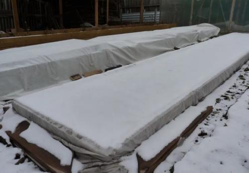 Какие цветы сажают осенью под зиму. 12 цветов, которые можно посадить осенью под зиму + Правила посадки