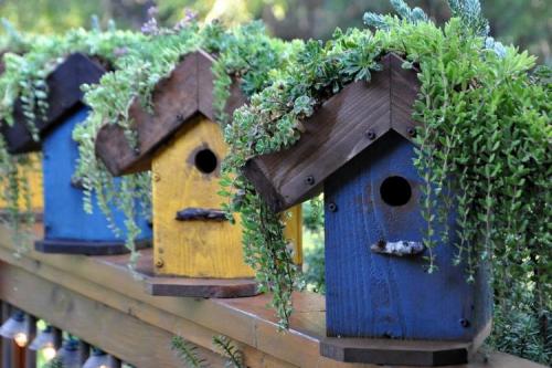 Какие декорации можно использовать для украшения двора. Функциональный декор