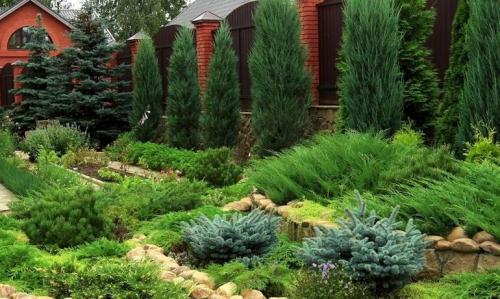 Ландшафтный дизайн маленького сада на участке-2025: современные идеи и тенденции 03