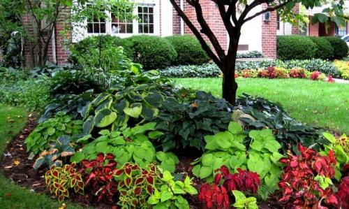 Сад на маленьком участке: как создать уютное пространство 02