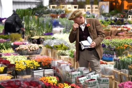 Какие советы по экономии средств при создании садового дизайна. Здравый смысл и планирование