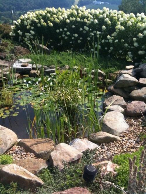 Какие элементы дизайна помогут визуально увеличить пространство на участке. Как зрительно увеличить декоративный водоем