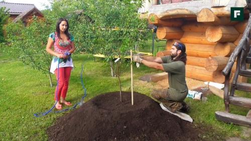 Когда высаживать декоративные кустарники. Осенняя посадка кустарников: полезные советы опытных садоводов