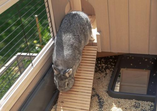 6 соток или меньше: как обустроить участок 08 6 соток или меньше: как обустроить участок 08