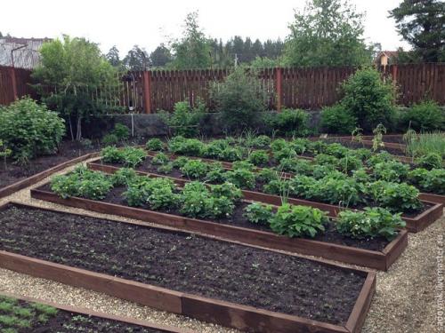 Как оформить вход на садовый участок 6 соток. Планировка участка с садом, огородом, теплицей и ягодником