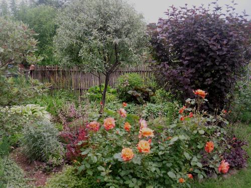 Можно ли выращивать овощи на 6 сотках. Личный опыт. Стандартные 6 соток могут вместить больше, чем вы думаете