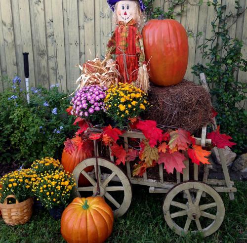 Как украсить сад сезонными украшениями. Как украсить сад осенью: идеи, которые вам понравятся