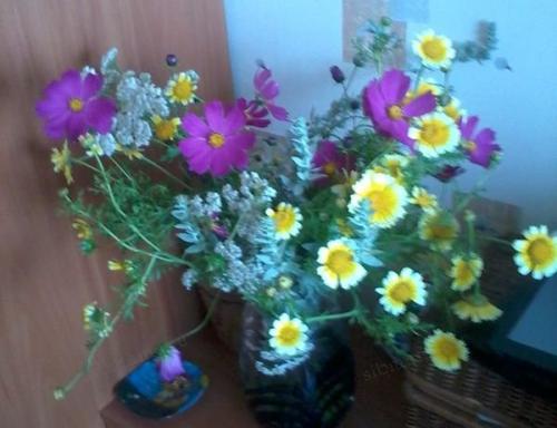 Огородные идеи для дачи: как сделать ваш участок более продуктивным 02