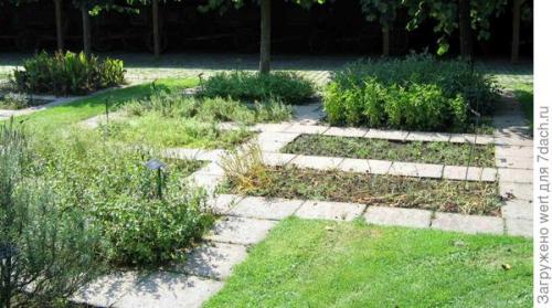 Можно ли совместить огород и декоративный сад на маленьком участке. Как адаптировать геометричный огород под маленький участок