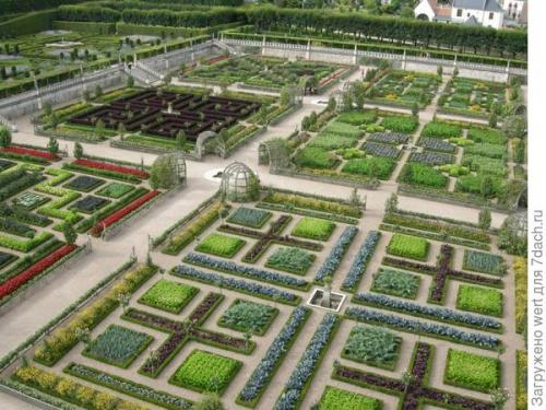 Можно ли совместить огород и декоративный сад на маленьком участке. Как адаптировать геометричный огород под маленький участок