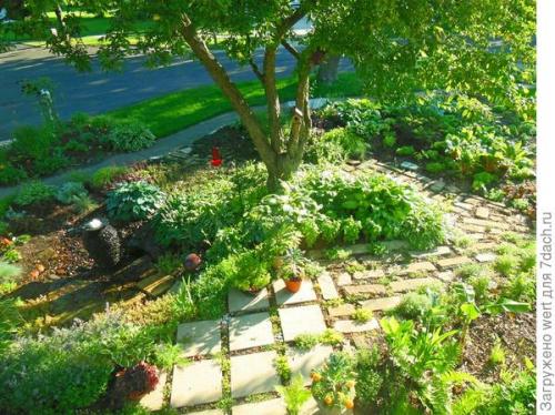 Можно ли совместить огород и декоративный сад на маленьком участке. Как адаптировать геометричный огород под маленький участок