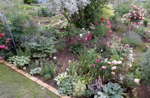 Можно ли выращивать овощи на 6 сотках. Личный опыт. Стандартные 6 соток могут вместить больше, чем вы думаете