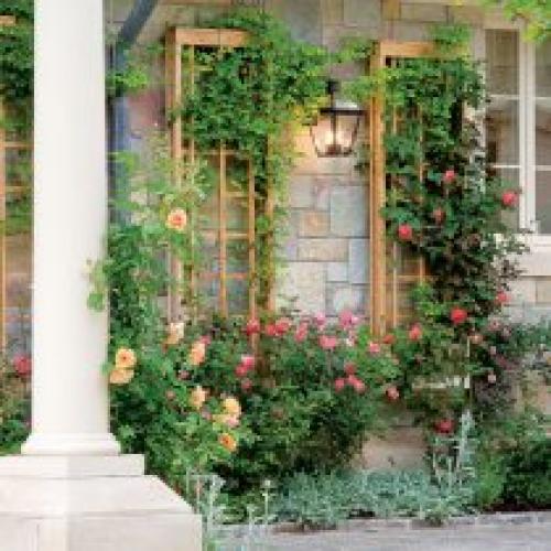 Какие советы по созданию вертикального сада. Выращивание растений на опорах и у стен