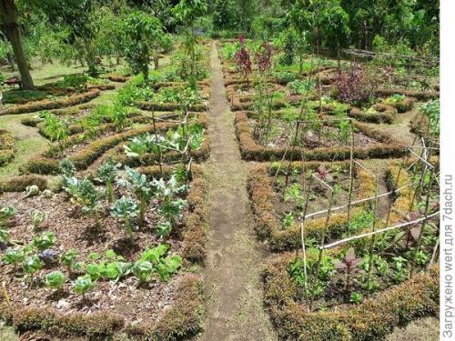 Можно ли совместить огород и декоративный сад на маленьком участке. Как адаптировать геометричный огород под маленький участок