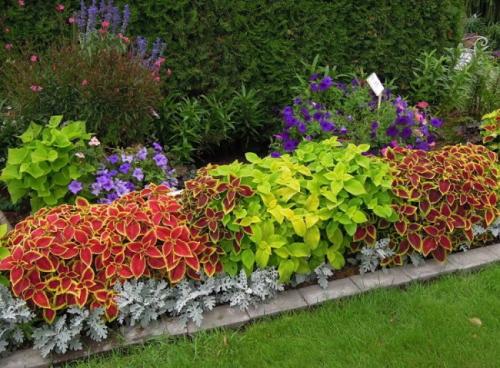 Как оформить вход на садовый участок 6 соток. Планировка участка с садом, огородом, теплицей и ягодником