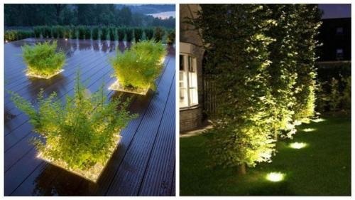 Какие способы освещения сада самые экономные и стильные. Свет в саду: 7 интересных идей