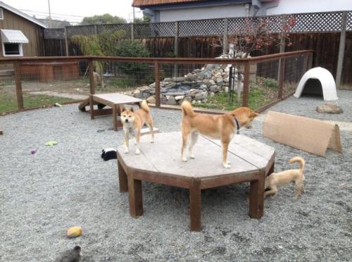 6 соток или меньше: как обустроить участок 07 6 соток или меньше: как обустроить участок 07