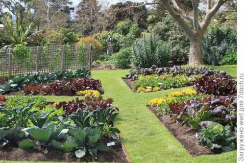 Можно ли совместить огород и декоративный сад на маленьком участке. Как адаптировать геометричный огород под маленький участок