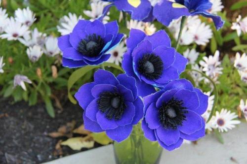 Какие цветы лучше всего сажать в маленьком саду для цветущей композиции. Многолетние цветы для клумбы