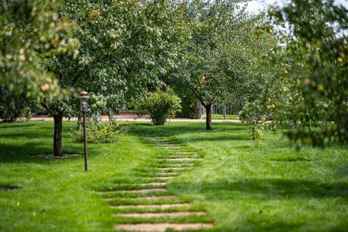 Как правильно ухаживать за растениями на дачном участке. Уход за садом