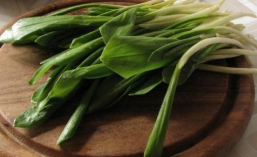 Какие полезные растения (травы, овощи) можно выращивать на маленьком участке. Топ 14 полезной зелени