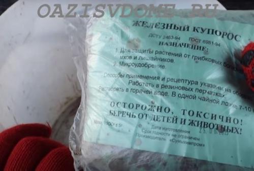 Искореняющее опрыскивание сада осенью. Чем опрыскать сад осенью от болезней и вредителей