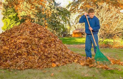 Чем обработать сад осенью украина. Осенняя обработка сада: эффективные приемы против болезней и вредителей