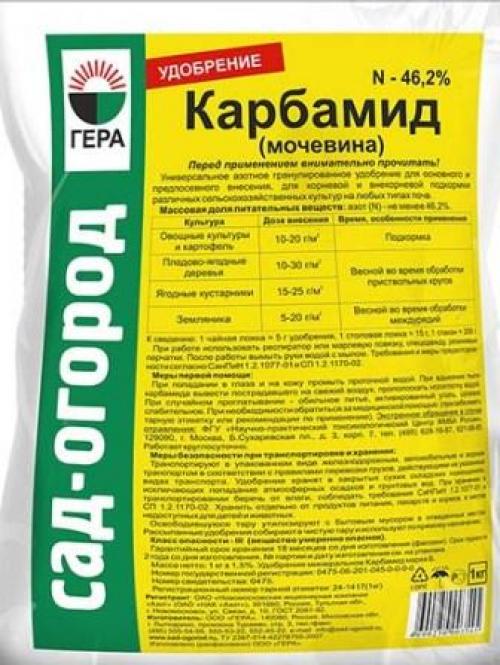 Искореняющее опрыскивание сада осенью. Чем опрыскать сад осенью от болезней и вредителей