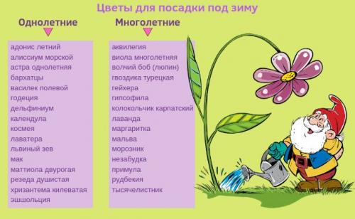 Цветы под зиму на урале. Когда сажать цветы под зиму?