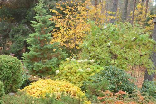 Что можно посадить в октябре. Советы агронома. Какие работы провести в огороде в октябре и что посадить?