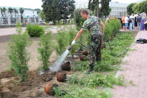 Как правильно сажать плодовые деревья осенью. Посадка и пересадка деревьев осенью: рекомендации опытных садоводов