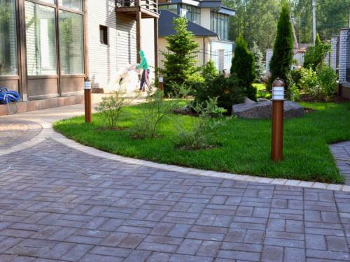 Как правильно сажать плодовые деревья осенью. Посадка и пересадка деревьев осенью: рекомендации опытных садоводов