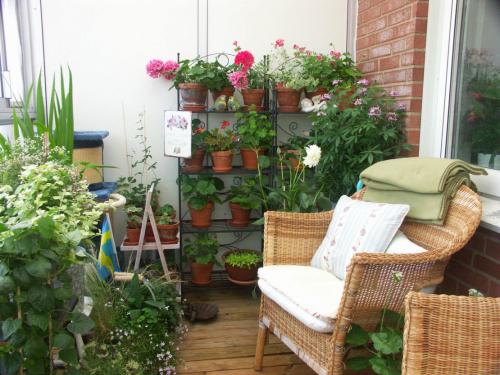 Можно ли создать сад на балконе или лоджии. Ломать — не ломать?