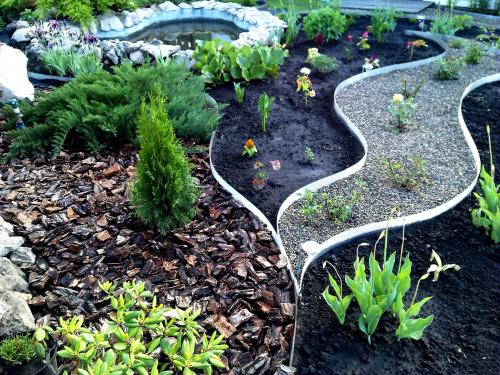 Какие ошибки чаще всего допускают новички при создании сада. 7 самых распространенных ошибок тех, кто делает первые шаги в ландшафтном дизайне