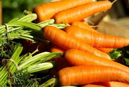 Какие культуры подходят для осенних посадок и как их высаживать 07 Какие культуры подходят для осенних посадок и как их высаживать 07